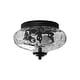 preview thumbnail 12 of 55, Modern Farmhouse 2-light Water Pattern Hammered Glass Flush Mount 9in