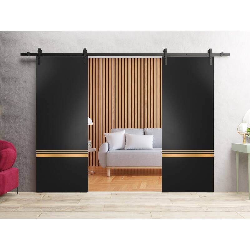 Sturdy Double Barn Door 36 x 80 with Planum 2010 Matte Black with 13FT