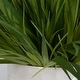 preview thumbnail 5 of 3, Uttermost Edgewood Greenery, Set Of 2 - 18"W x 14"H x 18"D