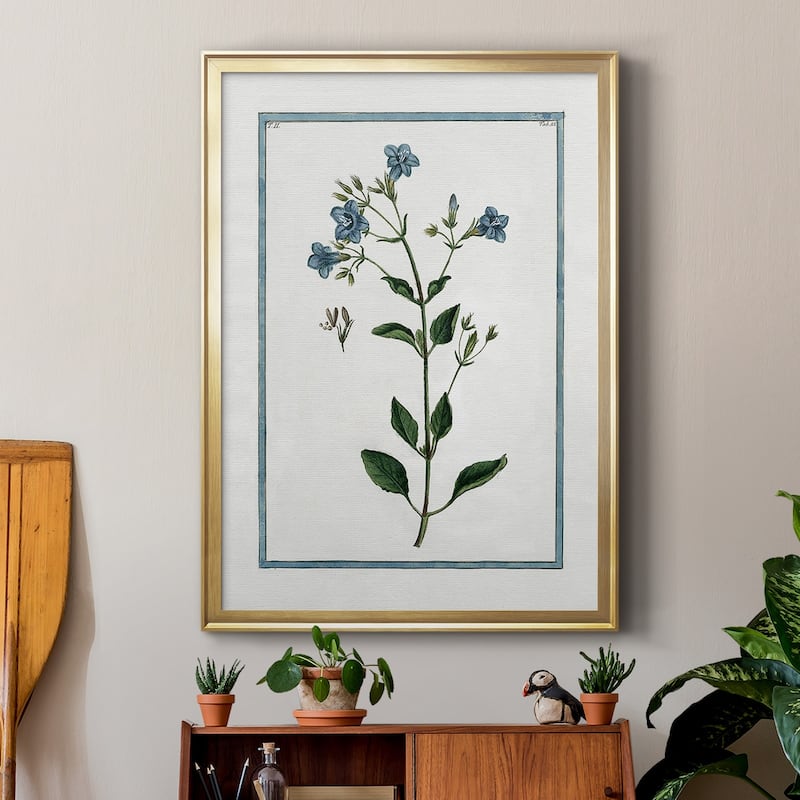 Shabby Chic Botanical II Premium Framed Print - Ready to Hang