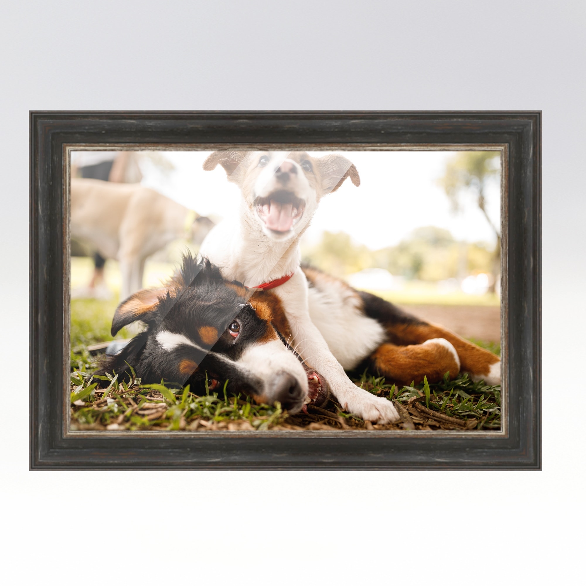 https://ak1.ostkcdn.com/images/products/is/images/direct/1c01b8041bdce86d25cf3b980414b9a2bcf6ccaa/12x18-Black-Picture-Frame---Wood-Picture-Frame-Complete-with-UV.jpg