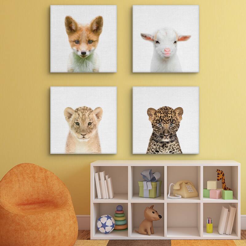 Baby Fox Square, Baby Goat, Baby Lion, Leopard by Tai Prints Canvas Art Prints