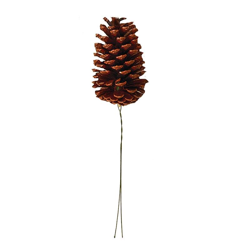 5" Lacquered Natural Pine Cone Pick, Set of 12 - 10"