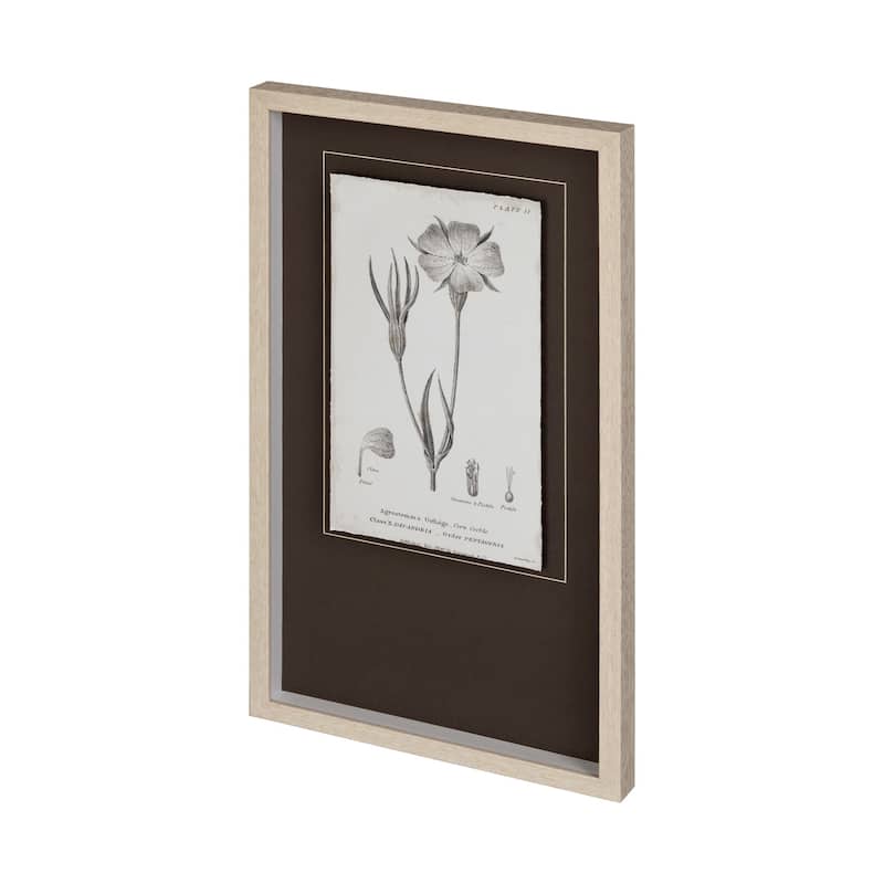 Conversations on Botany III Framed Art Print
