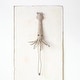 preview thumbnail 1 of 1, Handmade Wool Felt Head Wall Hanging Squid