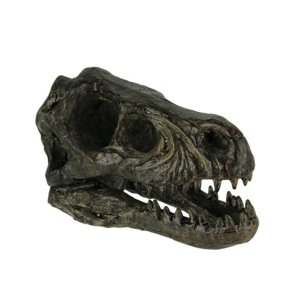 raptor fossil