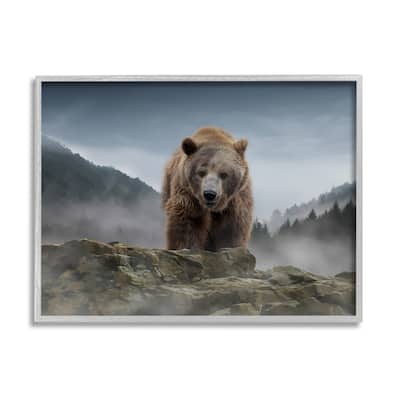 Stupell Roaring Brown Grizzly Bear Rocky Mountain Top View Framed Wall Art, Design by Kelley Parker