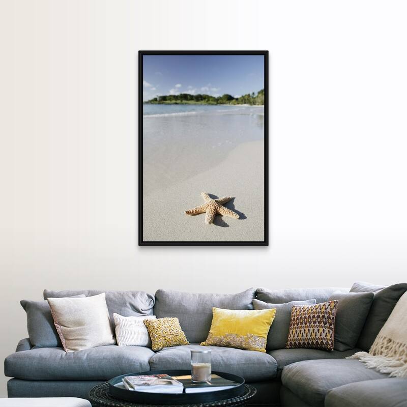 "Starfish on beach of Caribbean Sea, Virgin Islands" Black Float Frame Canvas Art - 32 x 48