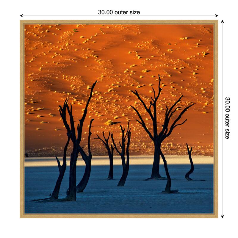 The Old Marsh by Sossusvlei Namibia Framed Canvas Wall Art Print - 30 x 30 in