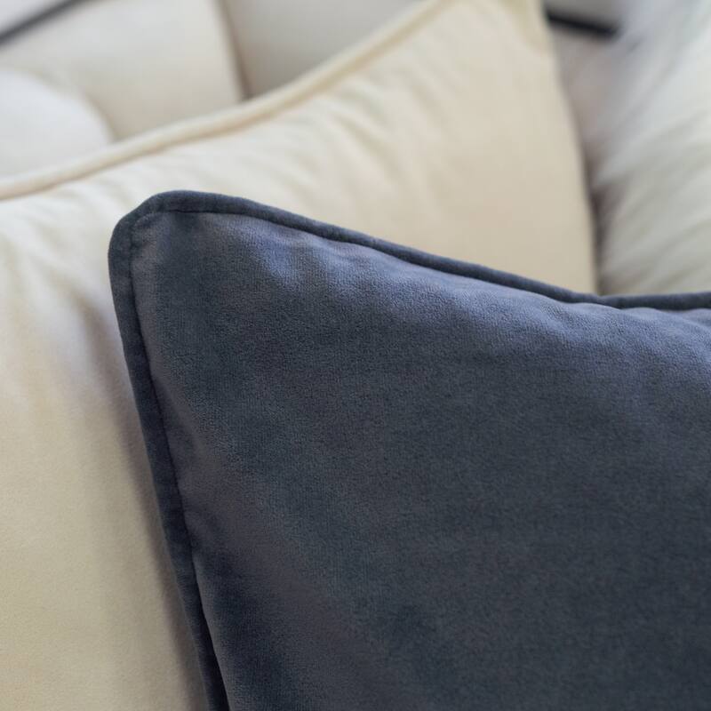 Elisa Velvet 20" Square Decorative Throw Pillow 2PK