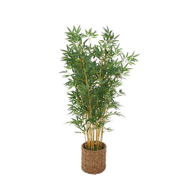 Faux Foliage Artificial Tree with Realistic Leaves and Brown Seagrass Pot - Green - Roche River Decor - 27"W x 27"L x 59"H