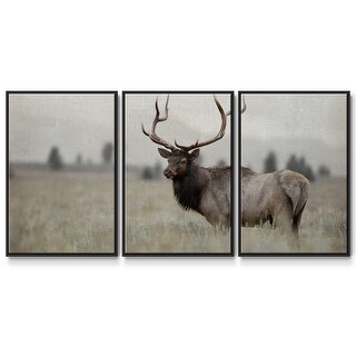 Grand Elk - Multi Piece Framed Canvas - Bed Bath & Beyond - 39842404