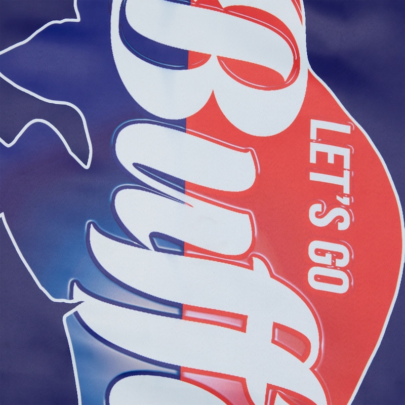 Blue and Red Buffalo Outdoor House Flag 40" x 28"