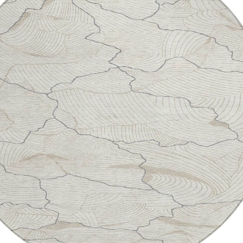 HomeRoots Abstract Transitional Rectangle Outdoor Rug