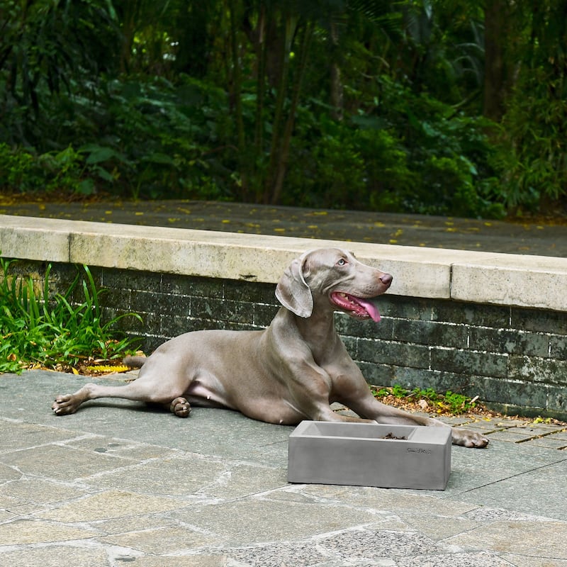 Duke Pet Bowl 13'' in Dark Grey - 13
