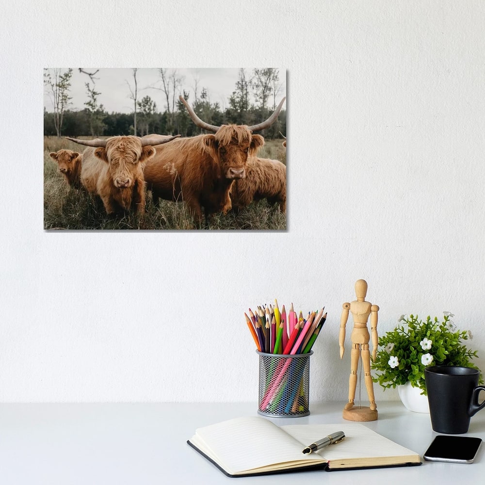 iCanvas "Highland Cow Herd" by Chelsea Victoria Canvas Print