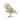 Pipa Owl - Tail Side