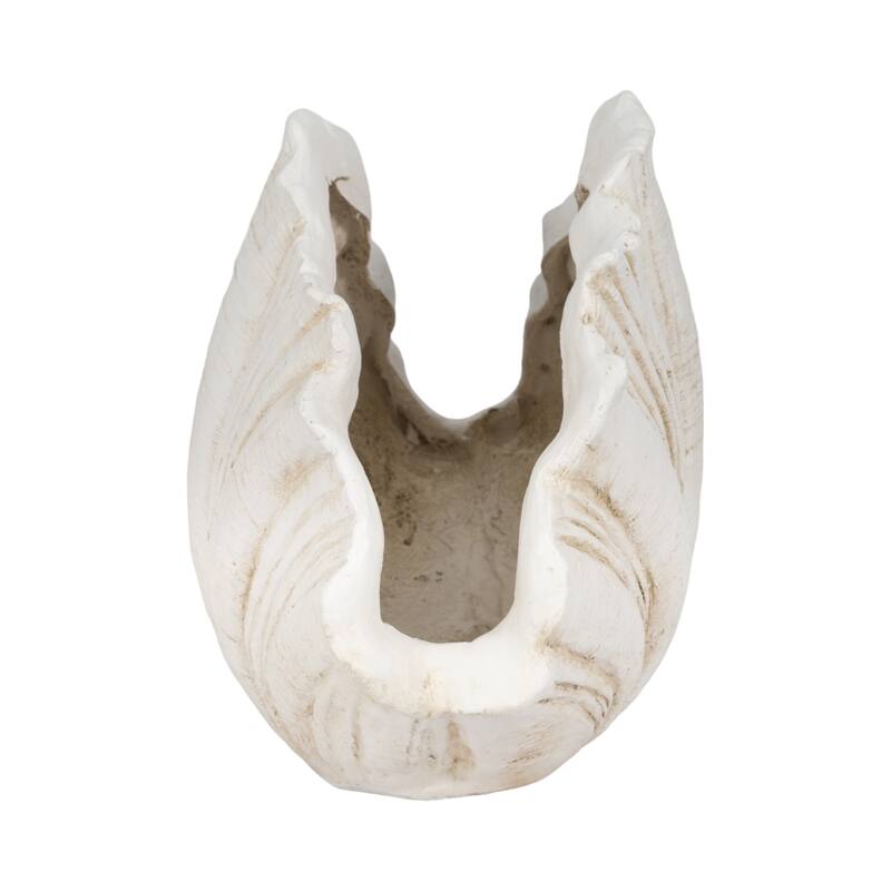 Decorative Scallop Shell Figurine - 22", White - 22.0"