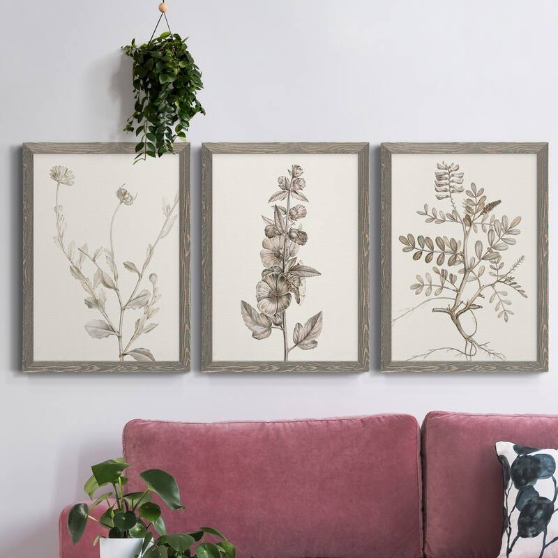 Neutral Botanical Study IV-Premium Framed Canvas - Ready to Hang - Multi-Color