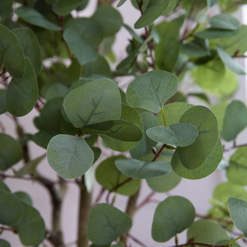 6' Artificial Eucalyptus Tree with White Decorative Planter
