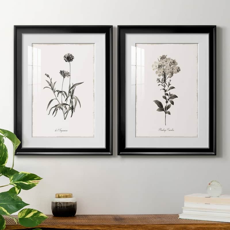 Sketchbook Imperial Premium Framed Print - Ready to Hang