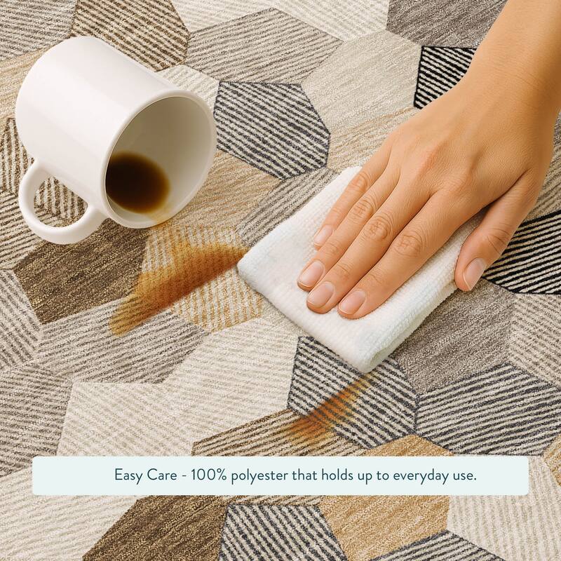 Machine Washable Indoor/ Outdoor Modern Loyd Chantille Rug