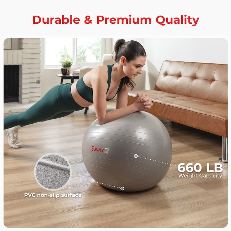 Sunny Health & Fitness Premium Yoga Ball Medium 65CM SF-EB02