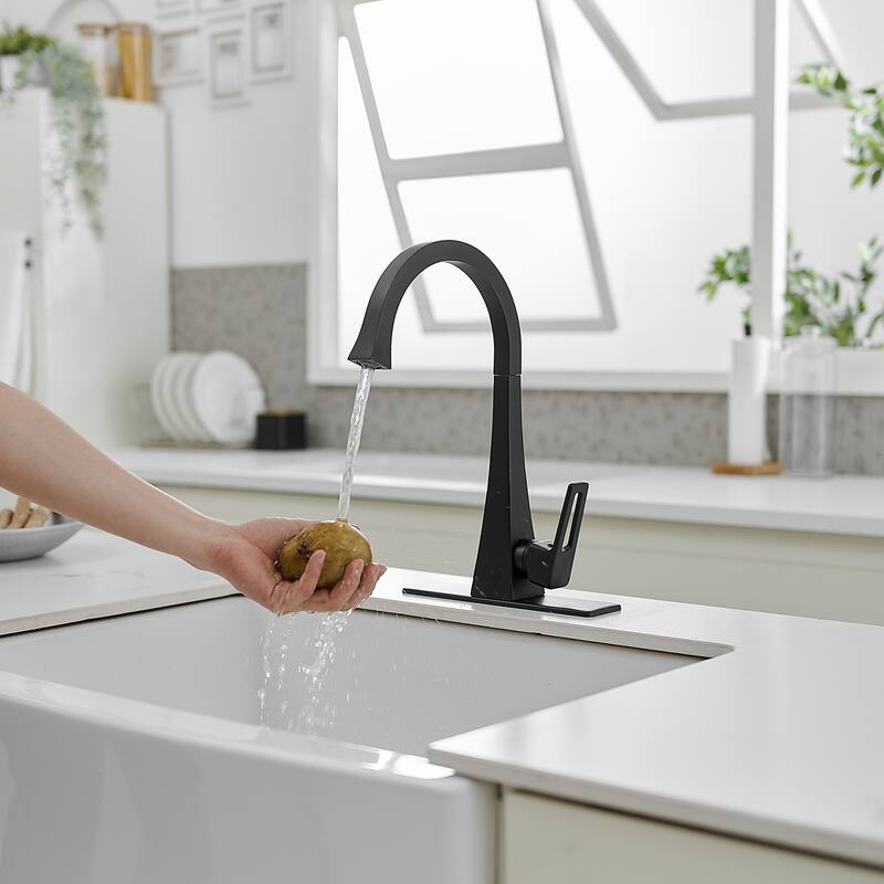 WIZ Single Handle Standard Kitchen Faucet