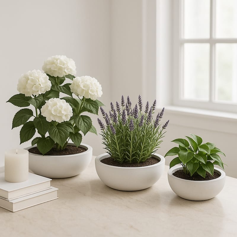 Resin Bowl Planters Round Decorative Plant Containers (Set of 3) - 21" x 21" x 6"