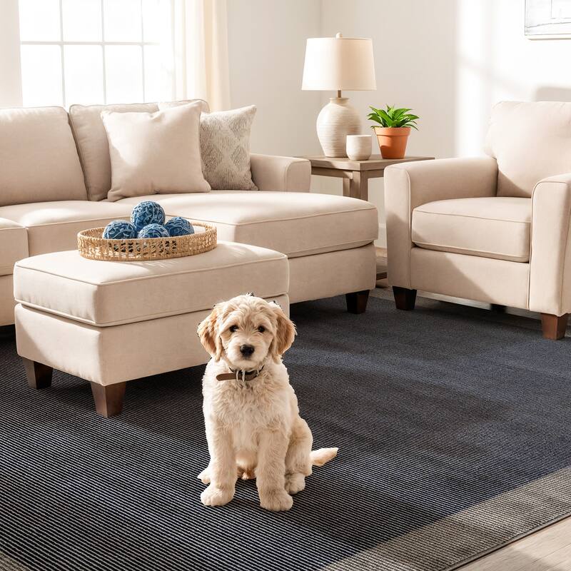 Modern Geometric Stripe Bordered Area Rug for Living Room, Bedroom, or Entryway - Low Pile Indoor Rug