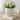 Plant Pot - White Ceramic Mushroom Gill Texture Garden, 6"