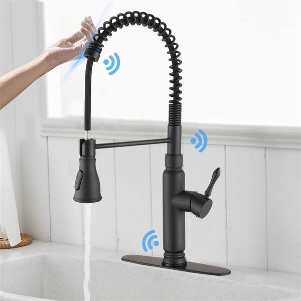 Touch Kitchen Faucet with Pull Down Sprayer - Overstock ...