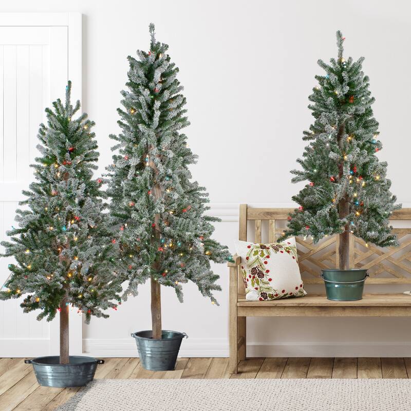 Set of 3 Flocked Alpine Artificial Christmas Trees 5' - Multi Lights - 5 Foot