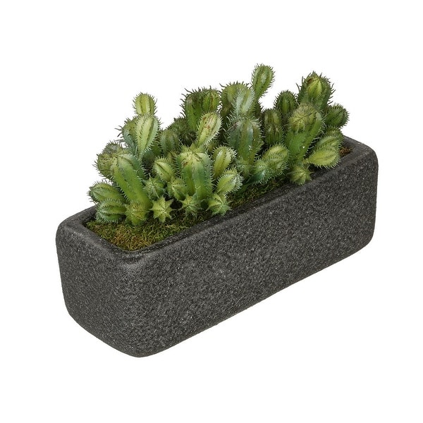 slide 2 of 3, Faux Thimble Cactus Garden in Black Sandy-Texture Ceramic Vase