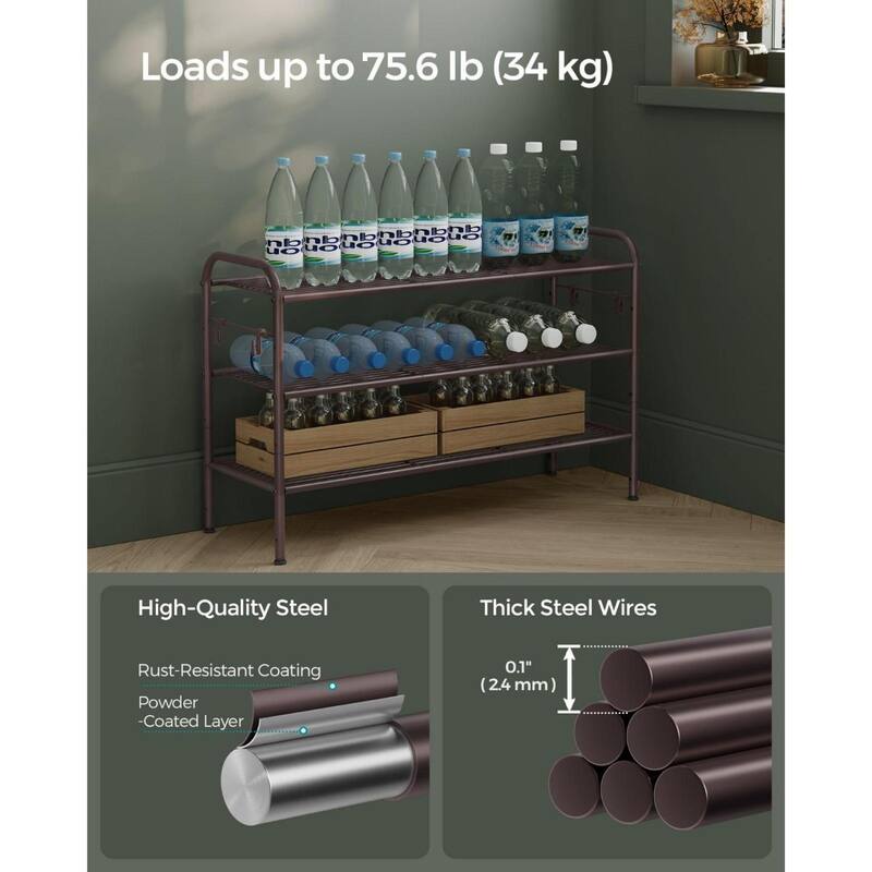 Moder Metal Shoe Rack Organizer with Shelf Storage with Side Hooks for Multiples Shoes Pairs