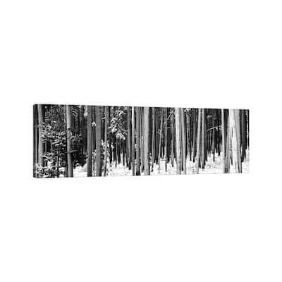 iCanvas "Lodgepole Pines And Snow Grand Teton National Park, WY" by Panoramic Images Canvas Print