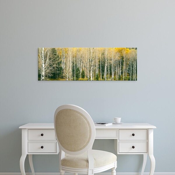 Easy Art Prints Panoramic Image 'Dense of Aspen trees in forest, Grand Teton National Park, Teton, Wyoming' Canvas Art