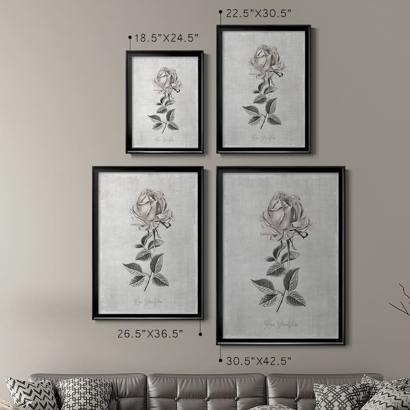 Vintage Botanical II Premium Framed Print - Ready to Hang
