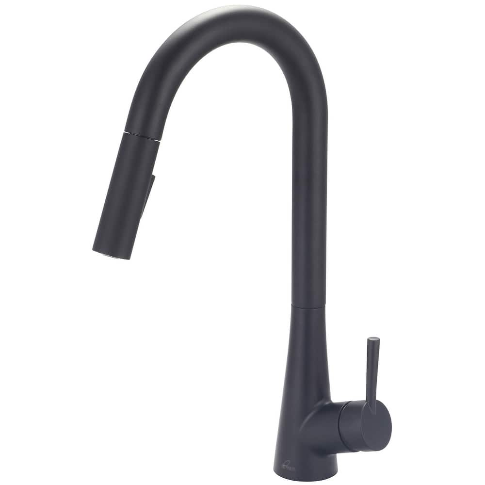 Olympia Faucets i2 1.8 GPM Single Hole Kitchen Faucet with Pull-Down