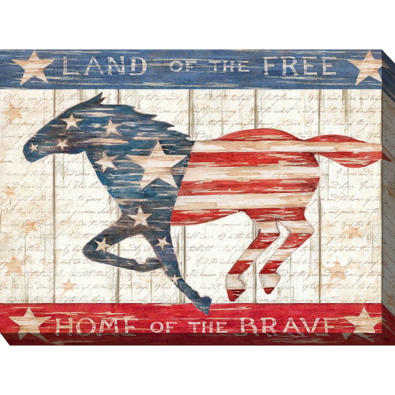 Land of the Free All Weather Outdoor Wall Décor