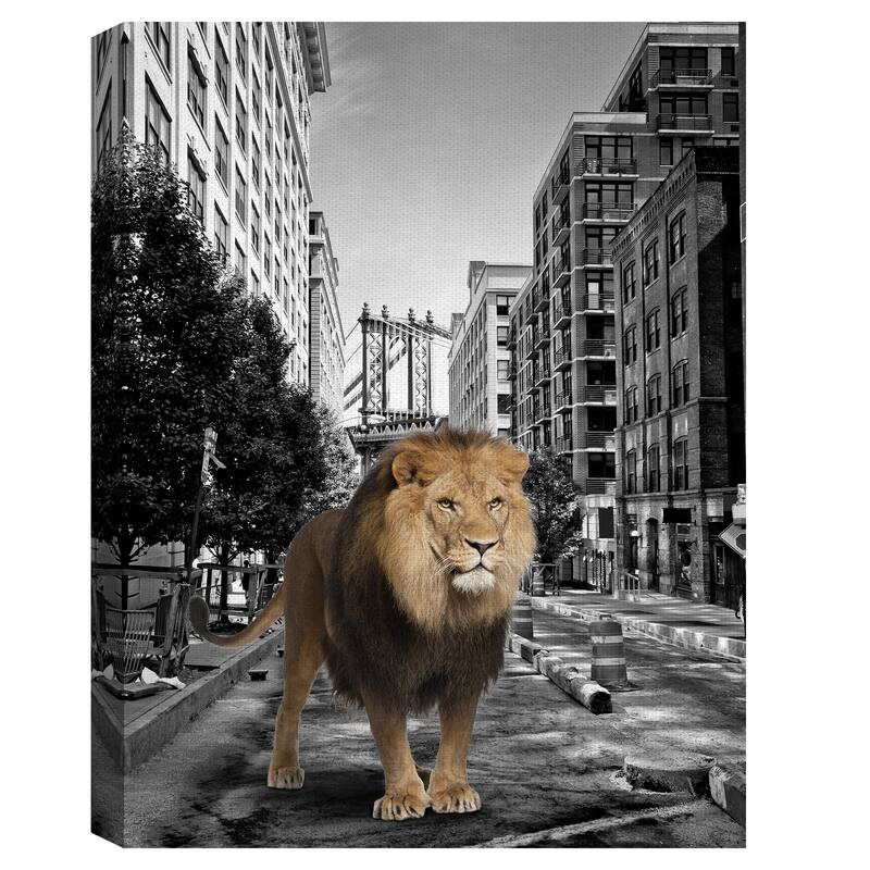 Urban Jungle I by Belle Maison Canvas Art Print