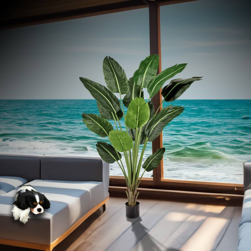 Potted UV Deluxe Traveler's Palm 6'