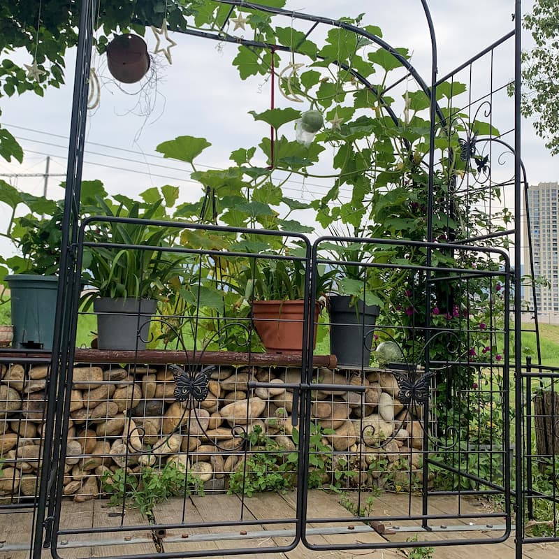 Garden Arch Arbor Trellis for Climbing Plants with Gate, Durable Metal Garden Arch Outdoor Wedding Arch, 7.15ft