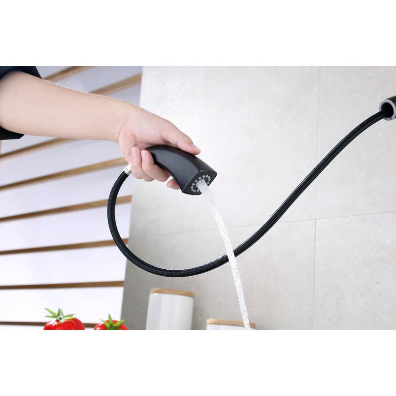 Ultra Faucets Quest Collection Single-Handle Kitchen Faucet With Pull-Down Spray