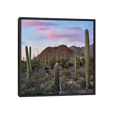 iCanvas "Saguaro, Tucson Mts, Saguaro National Park, Arizona" by Tim Fitzharris Framed Canvas Print