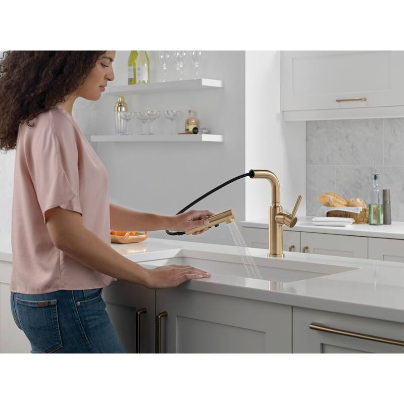 Delta 16879-DST Daneri 1.8 GPM Single Handle Pull Out Kitchen Faucet