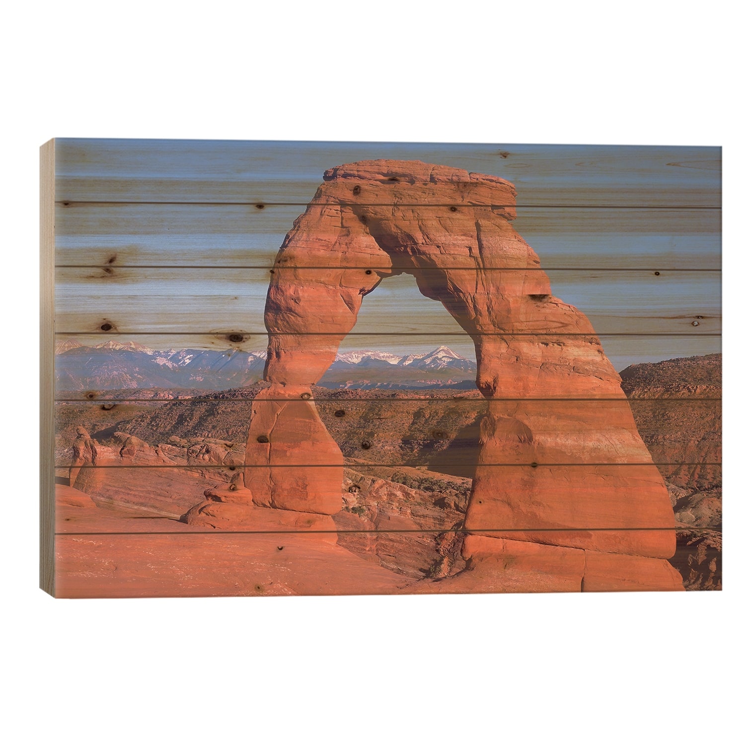 Delicate Arch And La Sal Mountains, Arches National Park, Utah I Print ...