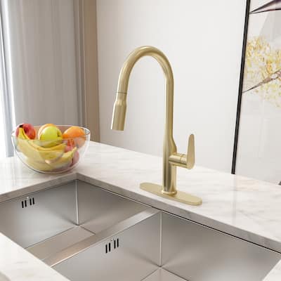 Single-Handle Pull-Out Sprayer Kitchen Faucet Included Deckplate