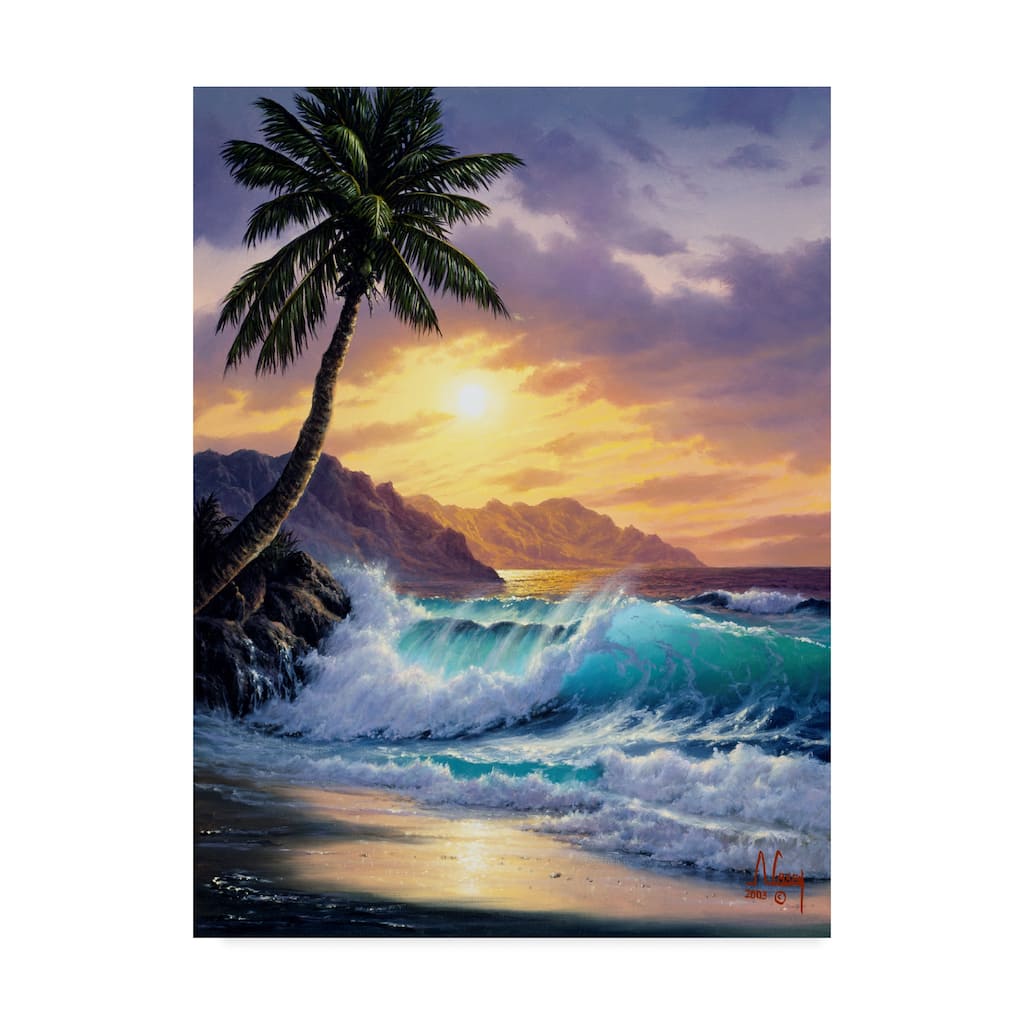 Anthony Casay 'Sunset Coast 7' Canvas Art