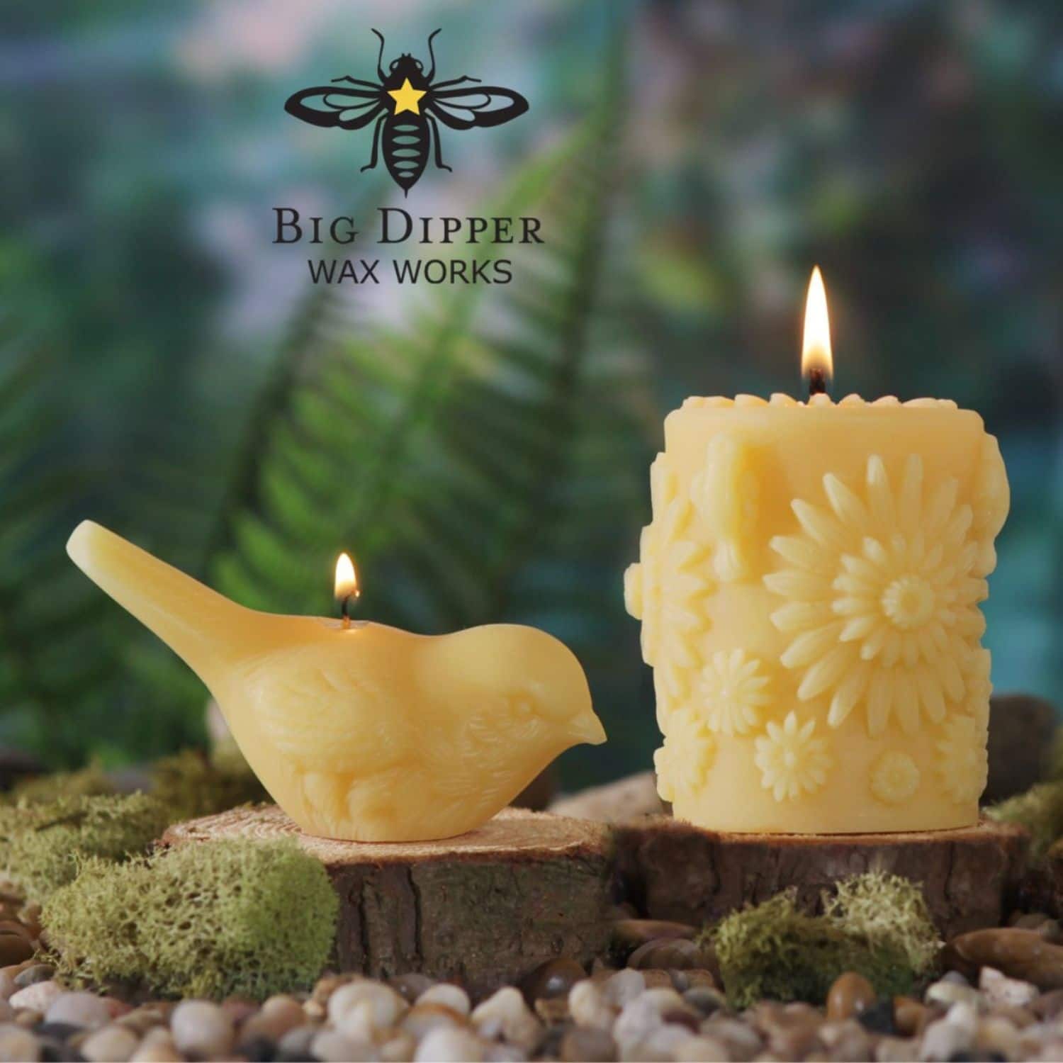Big Dipper Wax Works Beeswax Song Birds - On Sale - Bed Bath & Beyond